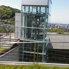 文化の森公園