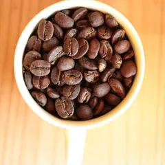 cafeみちくさ