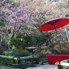 海光堂