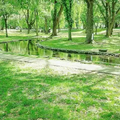 北海道大学 中央ローン