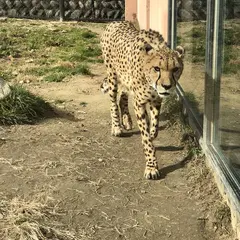 広島市安佐動物公園