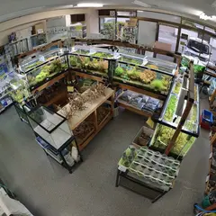 アクアの達人（水草と小型熱帯魚の店）