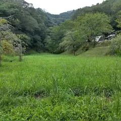 勝浦チロリン村オートキャンプ場