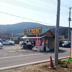 丸坂いちご園