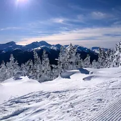 ウィスラー