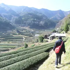 高千穂町