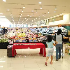 アルビス 経堂店
