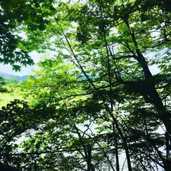 ブーメル