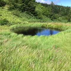 芳ヶ平湿地群