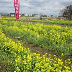 中川やしおフラワーパーク