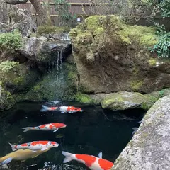 京都市