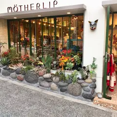 MOTHER LIP