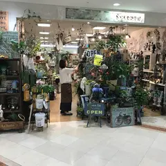 みどりの雑貨屋 なんば店