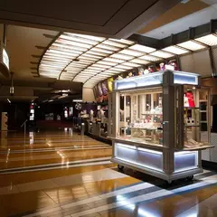 シネマイクスピアリ