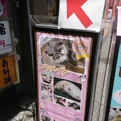 コツメイト