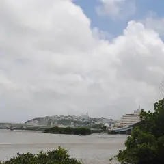 漫湖
