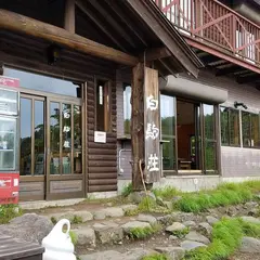 白駒の池