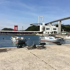 来島海峡急流観潮船