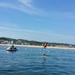 リアルハンモック