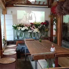 식물