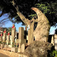 光明院