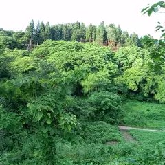 左沢楯山城跡
