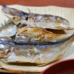 旬の味 ごろさや