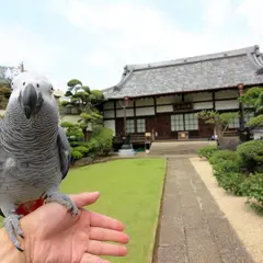 妙祐山理境院