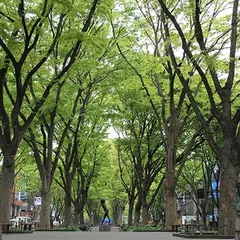 青葉通り