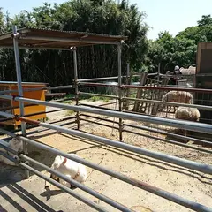 関口牧場