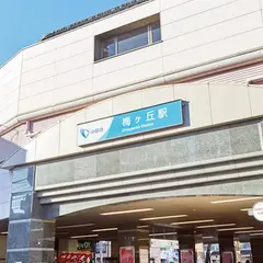 梅ヶ丘