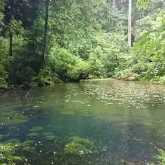 赤蔵山憩いの森