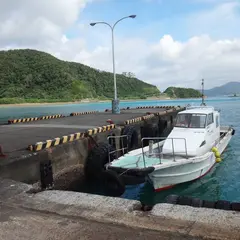 イキンマレンタカー （軽自動車）加計呂麻生間港５分