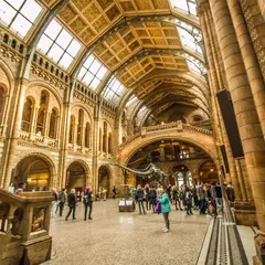 ロンドン自然史博物館（Natural History Museum）