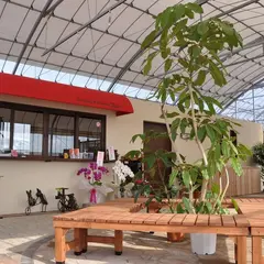 いちご園フェリーチェ