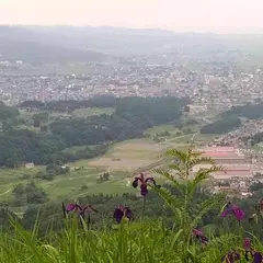 鳥坂城跡