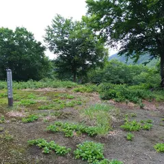 荒戸城跡