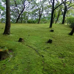 黒滝城跡