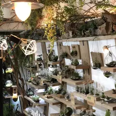 ｍｏｓｓ−ｃｏｎｎｅｃｔ