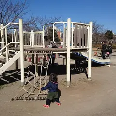大島小松川公園