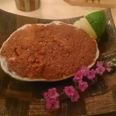とも樹