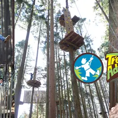 Tree cross Adventure（ツリークロスアドベンチャー）