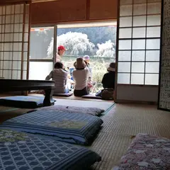 奥山田のしだれ桜