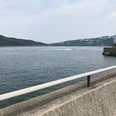 カモメの散歩道