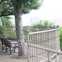 大浦展望公園