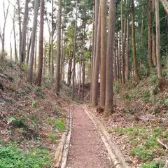 額田城跡