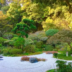 休耕庵 竹の庭の茶席