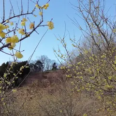 松田町寄自然休養村