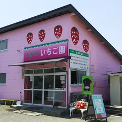 すぎやまいちご園