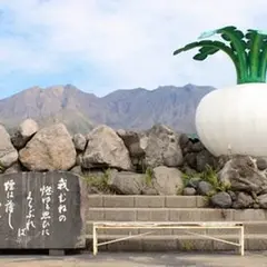 旅の駅桜島 桜島物産館